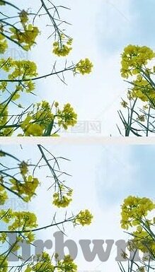 福利一区福利二区bt7086-福利一区与福利二区，BT7086的深度探索