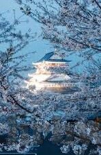 糖心vlog下载官方入口-享受生活每一刻，探索糖心vlog的官方下载之旅